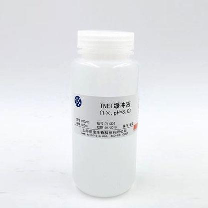 Tris鎂鹽緩沖液（1×，pH=7.8）